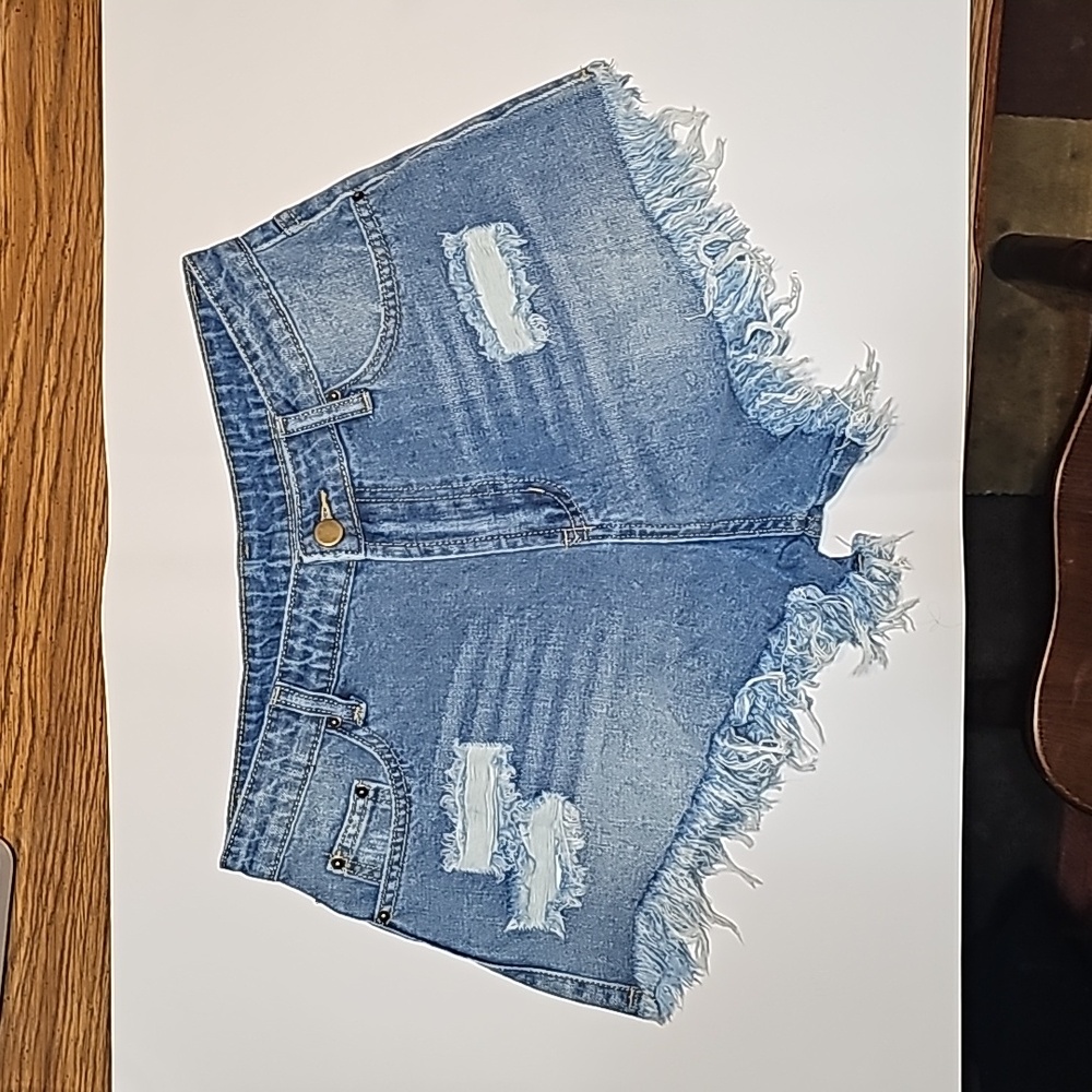 Plnotme Denim Distressed Shorts Size 4